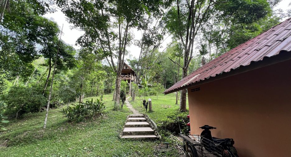 For sale land in Ko Yao, Phang Nga