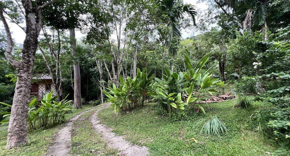 For sale land in Ko Yao, Phang Nga