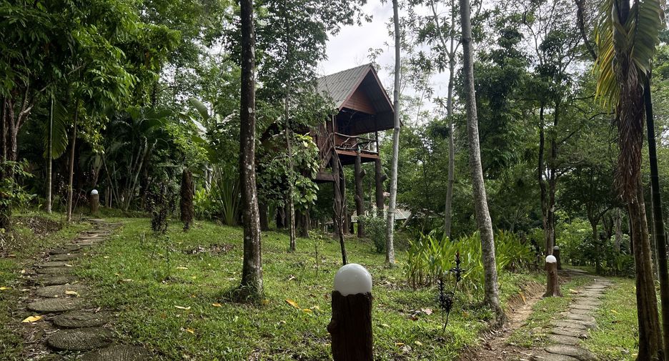 For sale land in Ko Yao, Phang Nga