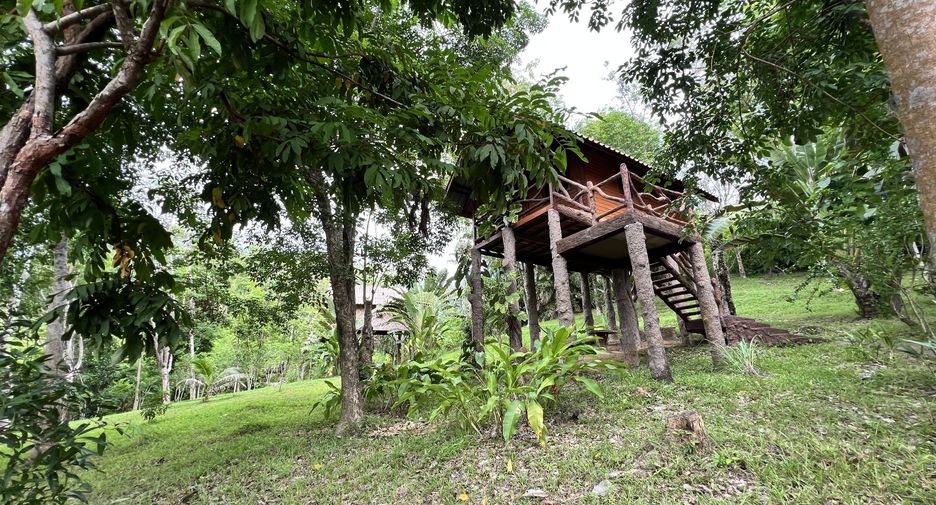 For sale land in Ko Yao, Phang Nga