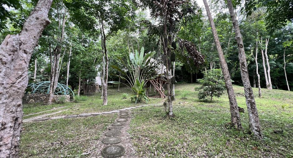 For sale land in Ko Yao, Phang Nga