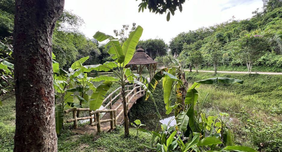 For sale land in Ko Yao, Phang Nga