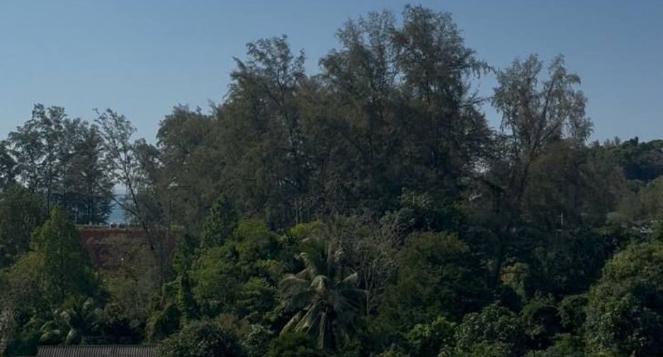 For sale studio condo in Kathu, Phuket