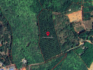 For sale land in Thalang, Phuket