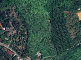 For sale land in Thalang, Phuket