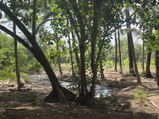 For sale land in Thalang, Phuket