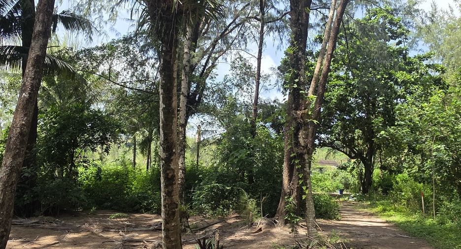 For sale land in Thalang, Phuket