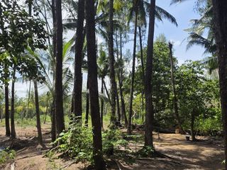 For sale land in Thalang, Phuket