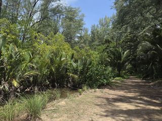 For sale land in Thalang, Phuket