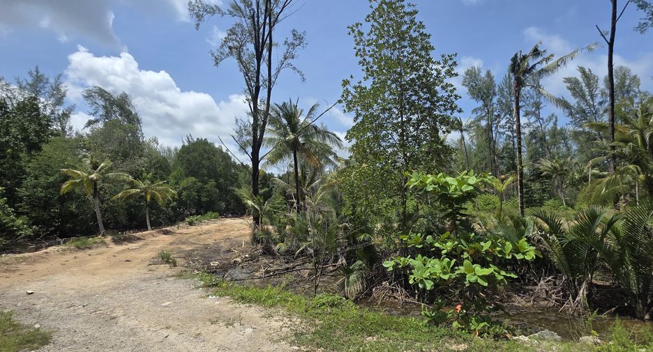 For sale land in Thalang, Phuket