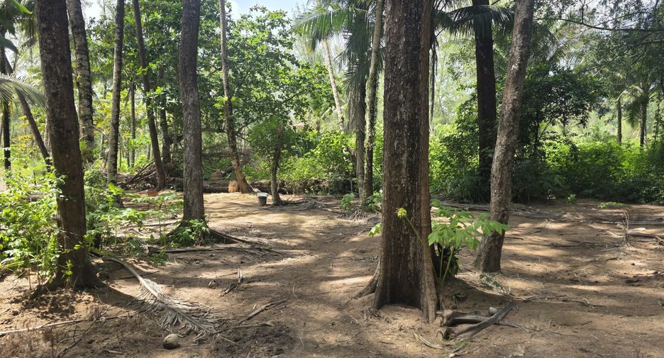 For sale land in Thalang, Phuket