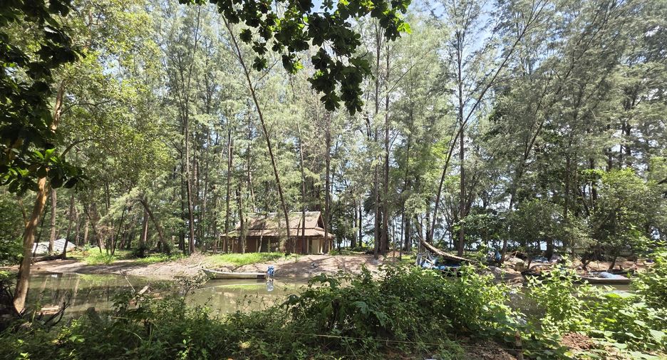 For sale land in Thalang, Phuket