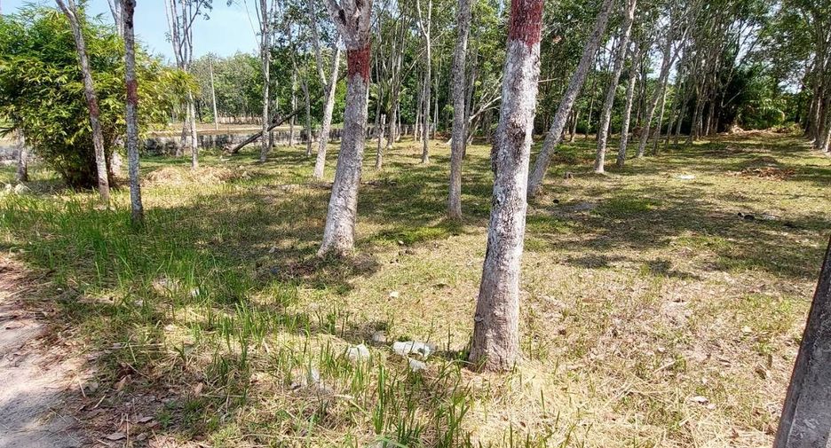 Terreno en venta en Thalang, Phuket