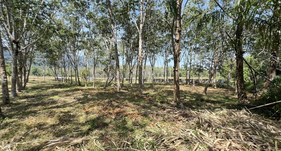 Terreno en venta en Thalang, Phuket