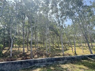 Terreno en venta en Thalang, Phuket