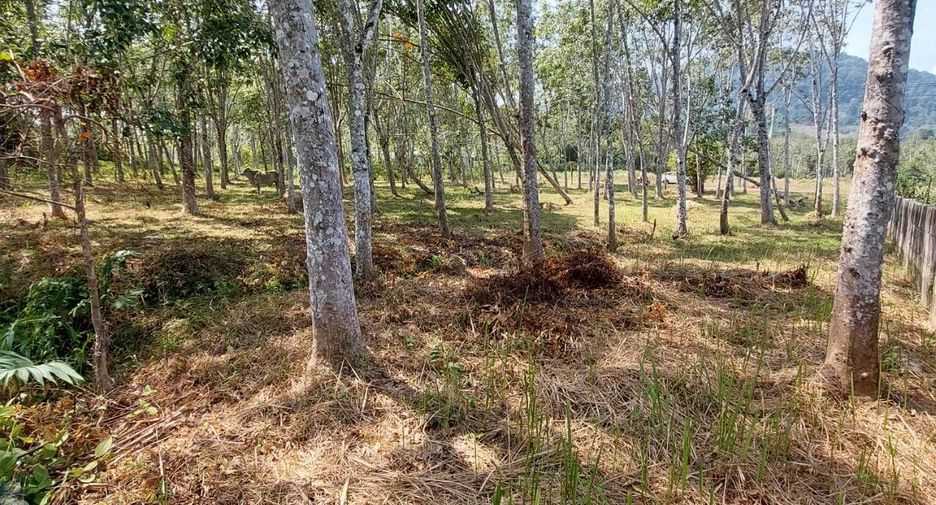 Terreno en venta en Thalang, Phuket