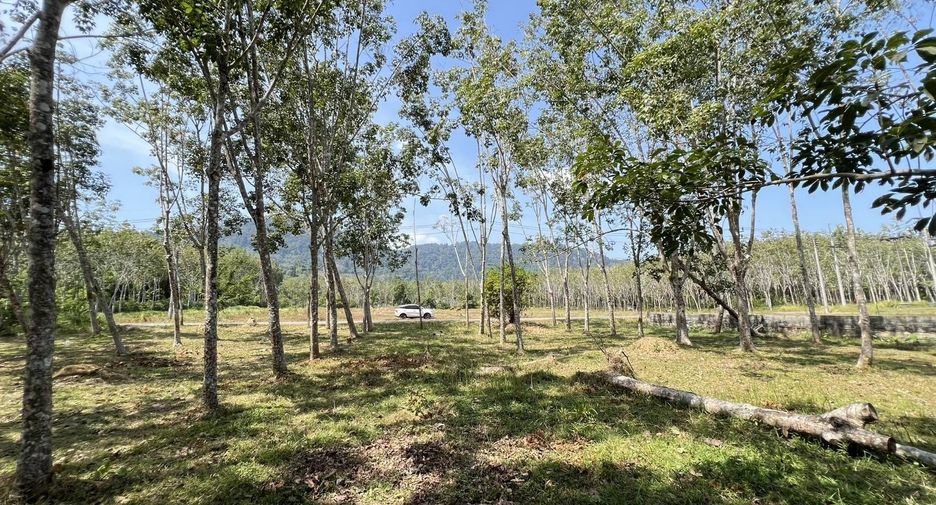 Terreno en venta en Thalang, Phuket