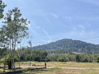 Terreno en venta en Thalang, Phuket