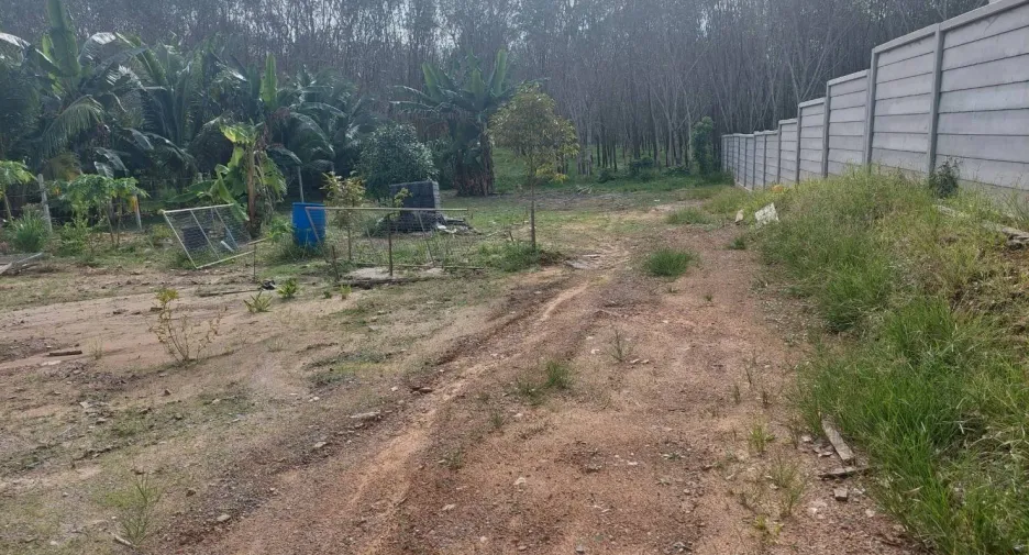For sale land in Thalang, Phuket