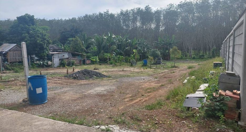 For sale land in Thalang, Phuket
