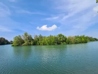 For sale land in Thalang, Phuket
