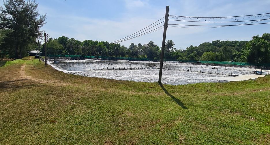 For sale land in Thalang, Phuket
