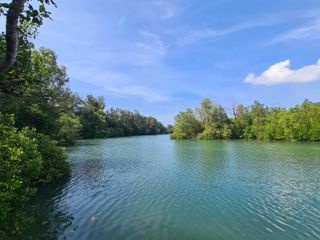 For sale land in Thalang, Phuket
