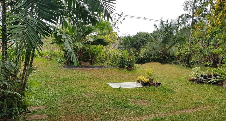 For sale 4 bedrooms house in Mueang Phuket, Phuket