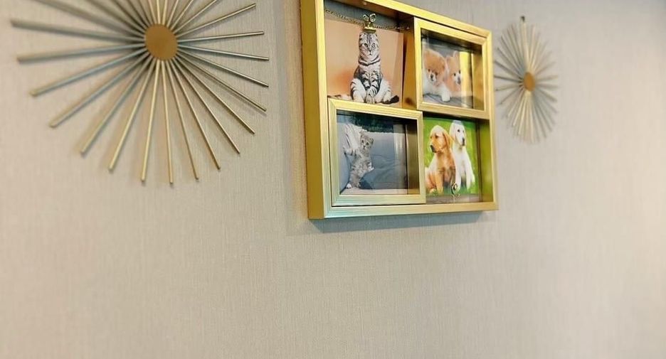 For rent 1 bed condo in Bang Sue, Bangkok