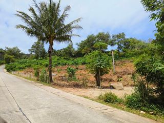 出售 土地 在 Phuket Town, 普吉
