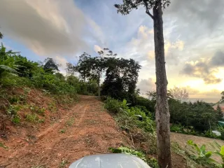 出售 土地 在 Phuket Town, 普吉