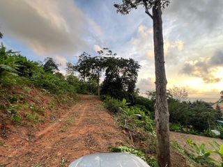 出售 土地 在 Phuket Town, 普吉