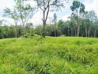 For sale land in Thalang, Phuket