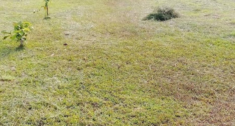 Terreno en venta en Thalang, Phuket
