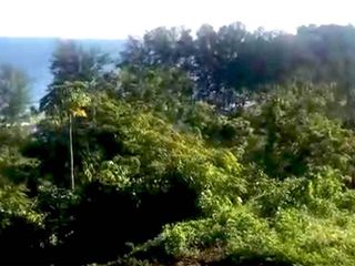 For sale land in Kathu, Phuket