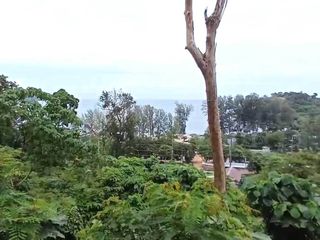 For sale land in Kathu, Phuket