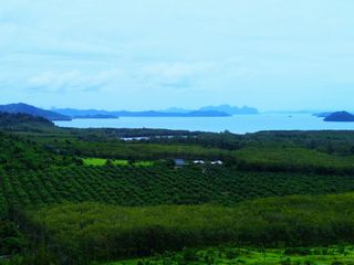 Grundstück zum Kauf in Thalang, Phuket
