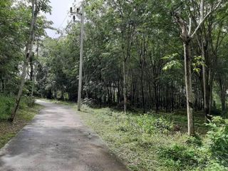 For sale land in Thalang, Phuket