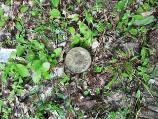 For sale land in Thalang, Phuket