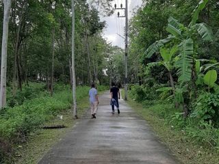 For sale land in Thalang, Phuket