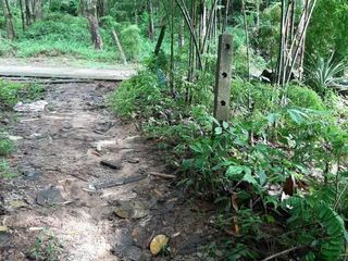 For sale land in Thalang, Phuket