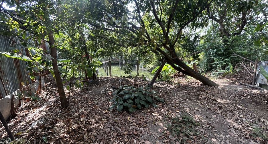 For sale land in Bangkok Noi, Bangkok