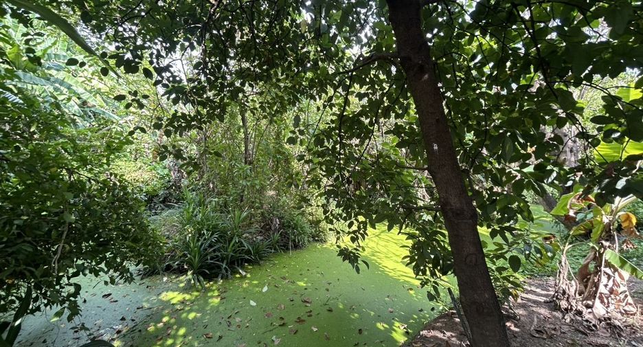 For sale land in Bangkok Noi, Bangkok
