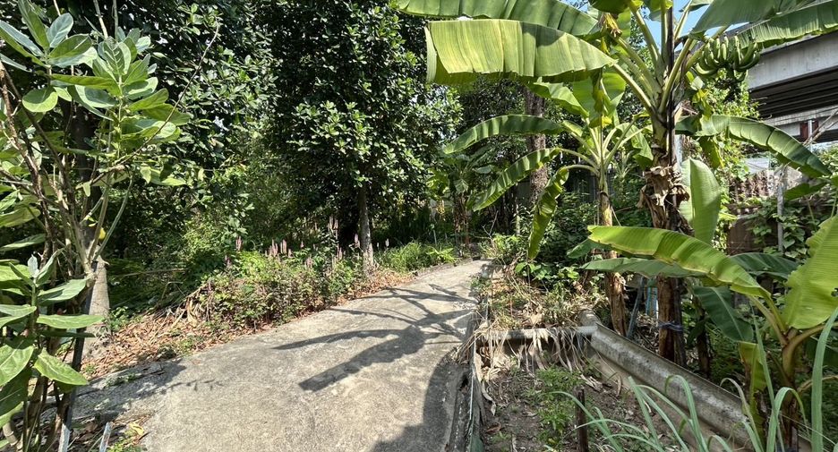 For sale land in Bangkok Noi, Bangkok
