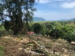 Grundstück zum Kauf in Mueang Phuket, Phuket