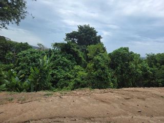 For sale land in Mueang Phuket, Phuket