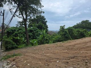 For sale land in Mueang Phuket, Phuket