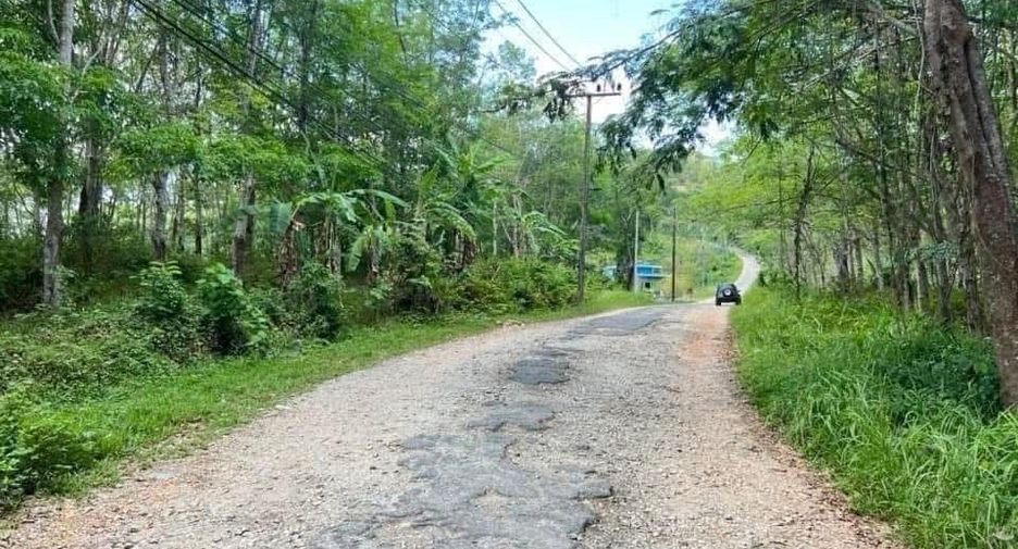 For sale land in Thalang, Phuket