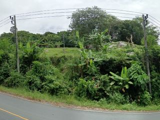 For sale land in Kathu, Phuket