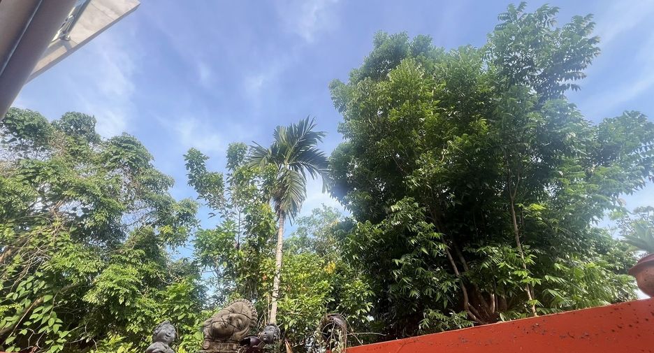 For sale and for rent 4 bedrooms house in Mueang Phuket, Phuket